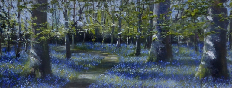 Bluebell Woodland